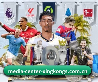 media-center-xingkongs.com.cn APP